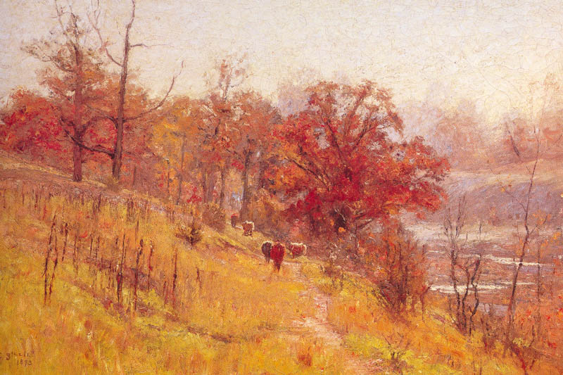 November Harmony